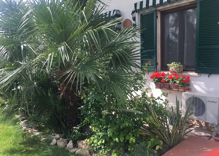 Bed & Breakfast Au Jardin Fleuri San Giovanni Lupatoto